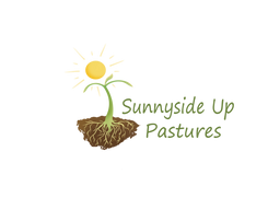 Sunnyside Up Pastures