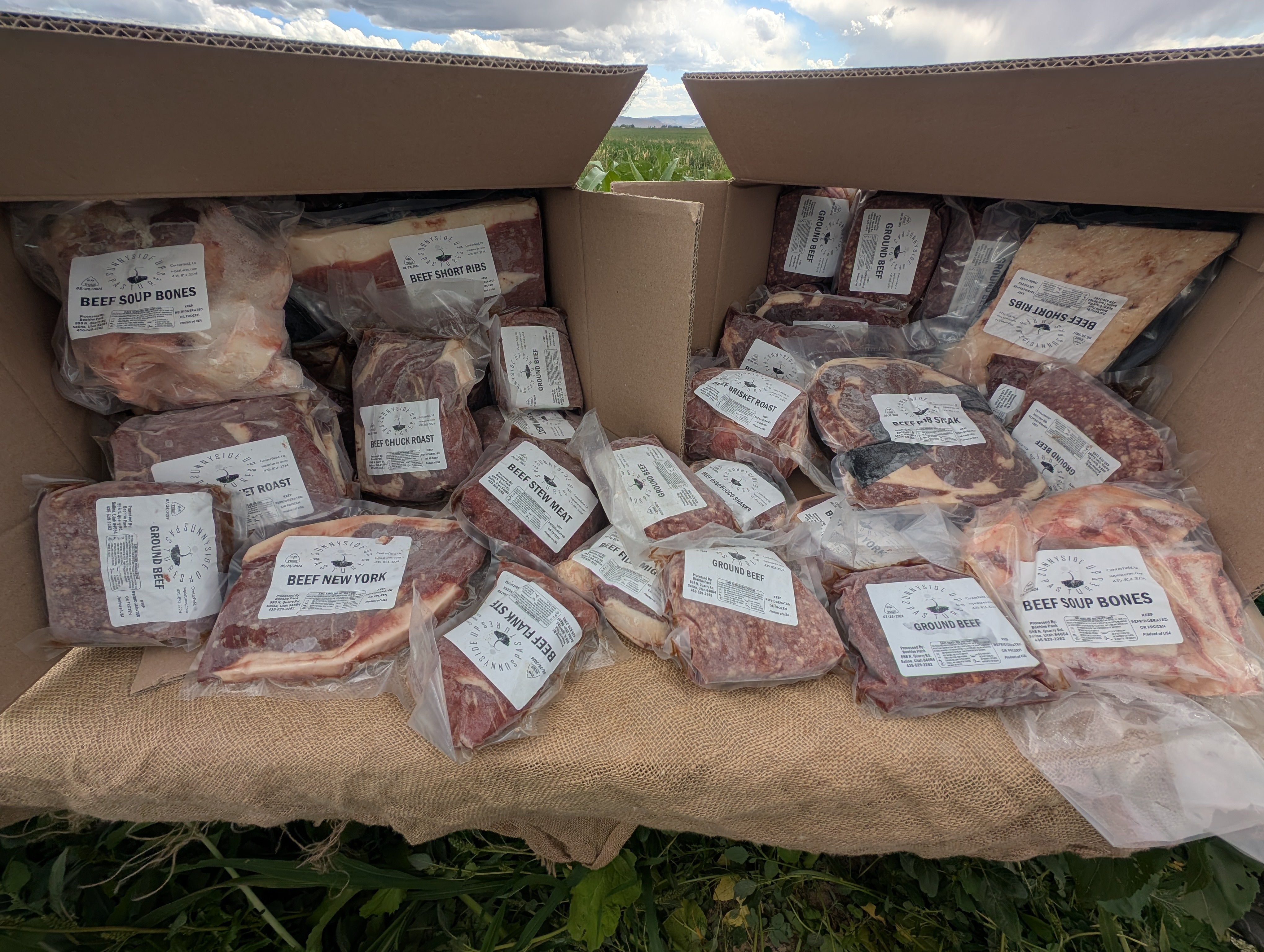 🍂 Fall Special: 1/8 Beef at Whole Cow Price – Just $450