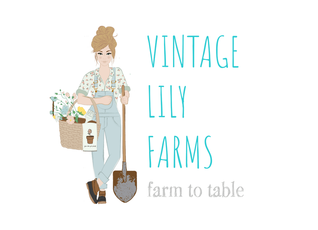 Vintage Lilly Farms Beef